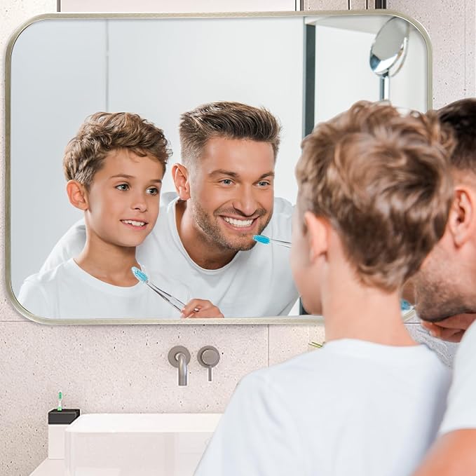 24x32 Inch Brushed Nickel Bathroom Mirror, Framed Rectangle Mirror with Rounded Corner, Brushed Mirror, Silver Bathroom Mirror for Over Sink, Vanity, Living Room, Bedroom, Horizontal/Vertical