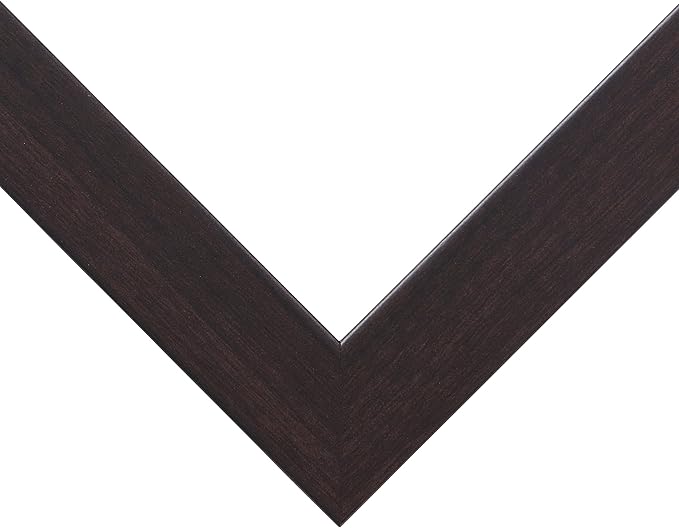 Craig Frames Essentials, Modern 1 Inch Wide 17 x 22 Inch Brazilian Walnut Picture Frame Matted to Display a 13 x 19 Inch Photo