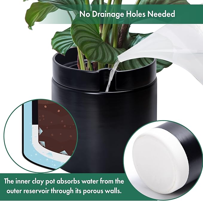 Phoenix Vine 10 Inch Cylinder Self Watering Planter, Black Glazed Outer Plant Pot with Dolomite Clay Inner Planter for Indoor Plants, Black, 31-A-I-B