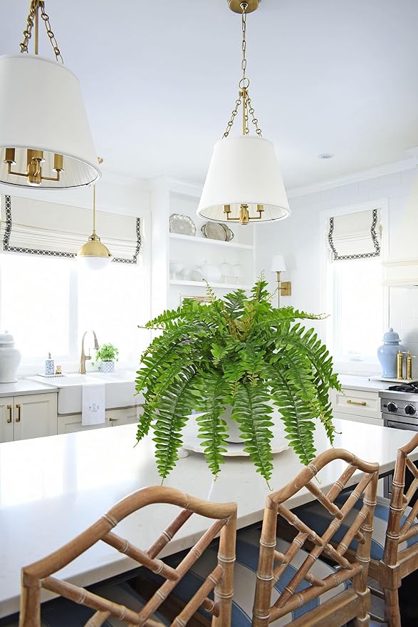 Hollyone Artificial Fern Plants in White Pot 25.5" Medium Artificial Boston Fern 31 Leaves for Outdoors & Indoor Faux Potted Plants Fake Ferns Bush Plant Patio Garden Farmhouse Porch Home Decor Green