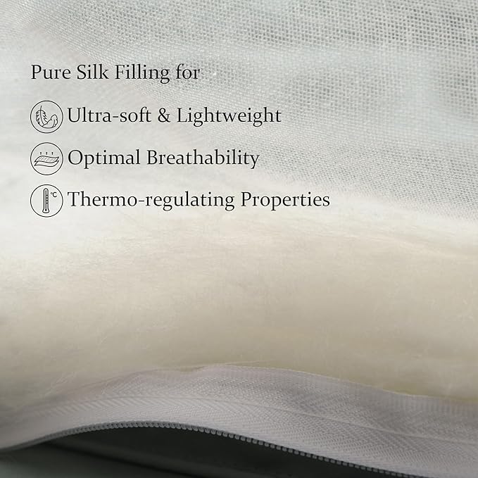 CUDDLE DREAMS Lightweight Silk Filled Comforter for Summer, Detachable Tencel Duvet Cover for Easy Care, Naturally Breathable (Steel Gray, Queen)