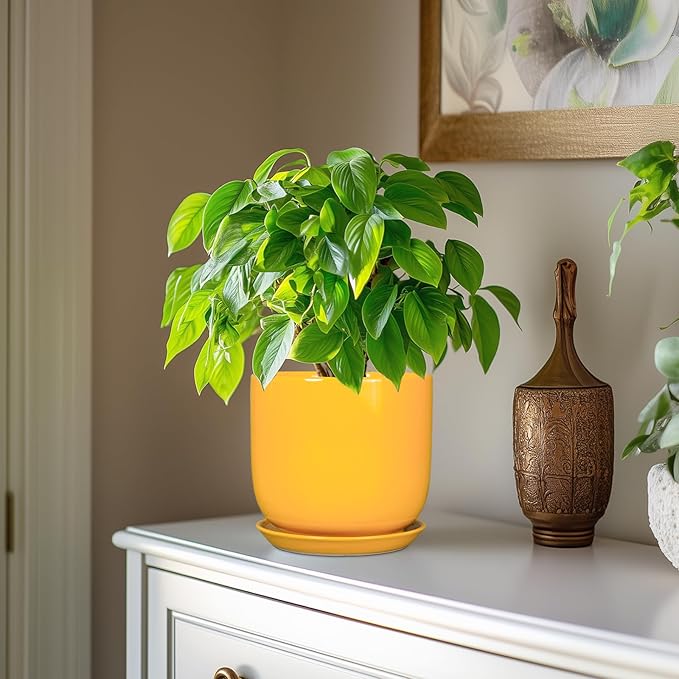 Indoor Plant Pot - 7 Inch Modern Round Ceramic Planter for Indoor Outdoor Plants with Drainage Hole and Saucer, Home Garden Office House Decor, Yellow