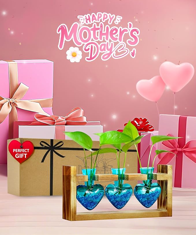 Nacome Plant Terrarium for Office Decor: Birthday Gifts for Plant Lovers Women Mom Wife - Wooden Stand Tabletop Planter 3 Bulb Glass Vase Heart Shaped for Hydroponics Indoor Home