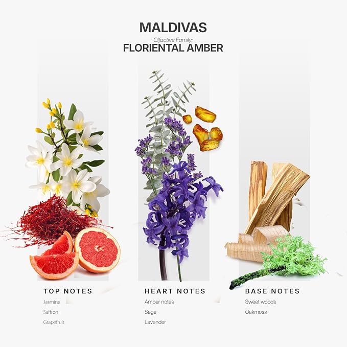 Aromaplan Hotel Scents Maldivas 5 Fl Oz (148ml), Home Luxury Aroma & Hotel Fragrance Diffuser Oil- Hotel Diffuser Oil for Aromatherapy- USA Made, Bigger Bottle, Bolder Aroma & Longer Lasting