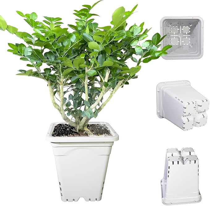 HG9X9SW 9"x9" White，10" Tall, Pack of 24 Square Pot.Plastic Square Nursery Pots,Light Tight and Durable Thickened