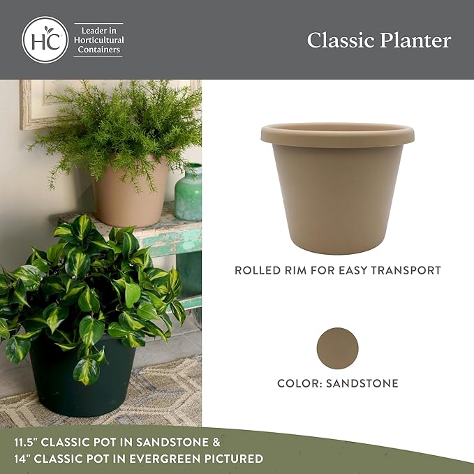 The HC Companies Classic Round Plastic Plant Pot w/Rolled Rim - Lightweight & UV Resistant Flower Pot for Herbs & More - Outdoor & Indoor Plant Pots w/Drainage (8.5 inch Sandstone, Pack of 1)