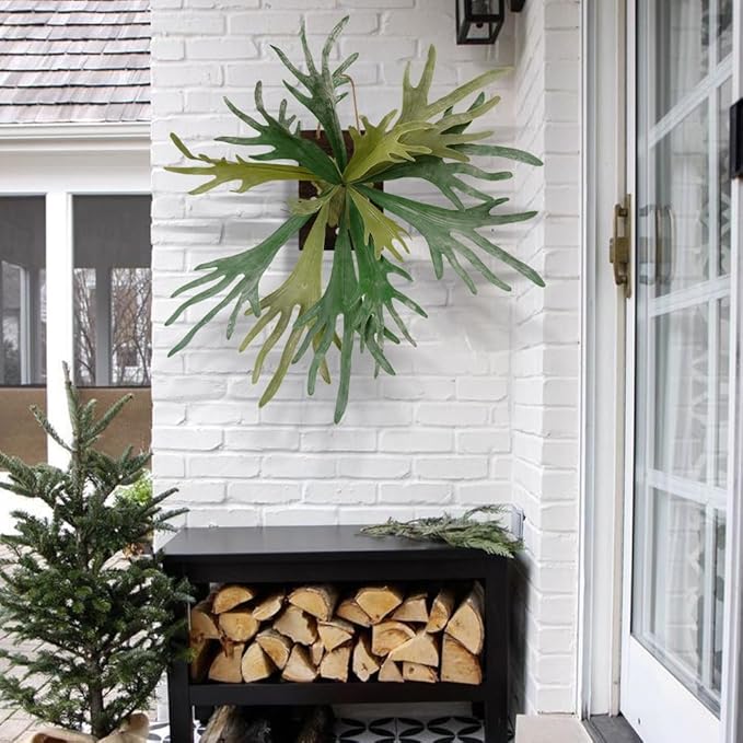 Melorca&Guilla Artificial Plants Artificial Succulent Plants,2PCS 35" Diam Large Fake Staghorn Ferns,Artificial Staghorn Fern Artificial Ferns Hanging Plants for Shop Garden Office Home Décor
