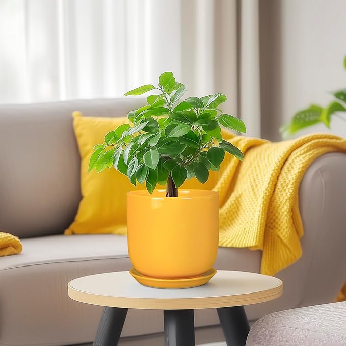 Plant Pot 5 Inch - Modern Round Indoor Ceramic Planter with Drainage Hole and Tray for Succulent Cactus Herbs Plants, Home House Garden Office Decor, Yellow