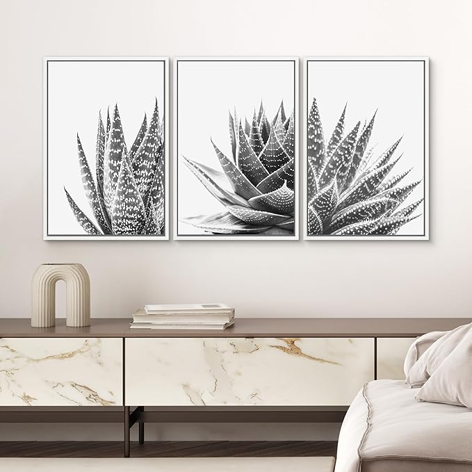 SIGNWIN Framed Wall Art Print Set Trio of Zebra Succulents Floral Plants Photography Modern Art Minimalist Closeup Dramatic Black and White for Living Room, Bedroom, Office - 24"x36"x3 White