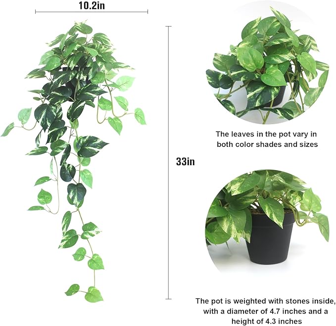 Fake Pothos Hanging Plants - Set of 2 Artificial Silk Ivy Vines with Pots, Realistic Faux Greenery for Indoor Home Decor, Low Maintenance Hanging Plant Decoration (Golden Green)