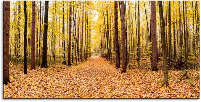 Panorama Forest In Fall Large Stretched Canvas Wall Art For Living Room Bedroom Home Decoration,Mordern Landscape Print Picture Painting Decor Giclee Artwork,Gallery Wrapped Gift,Inner Frame(30x60)
