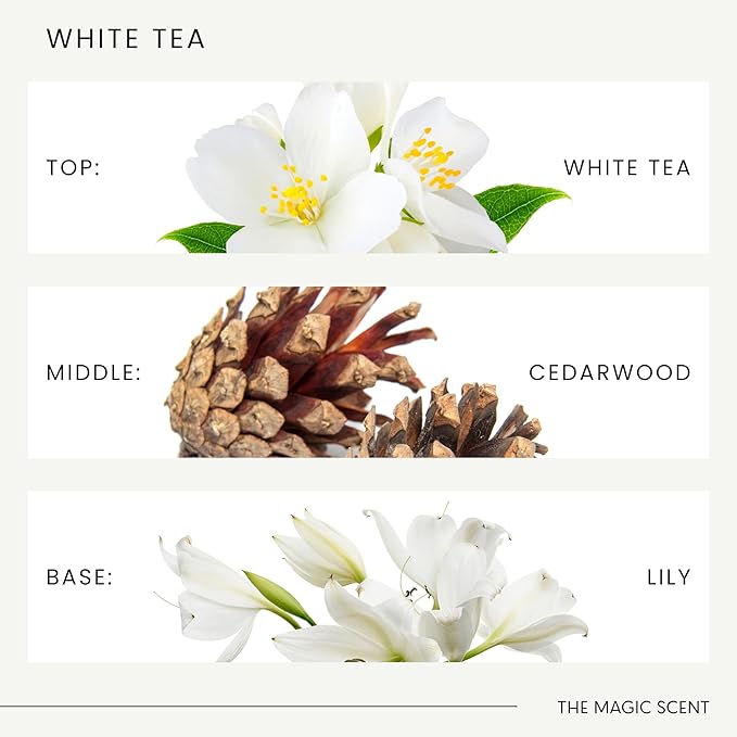 White Tea Diffuser Oil - Hotel & Home Luxury Scents - Diffuser Oil Scents for Home Designed for Use in All Diffusers - 4 fl oz, 120 mL