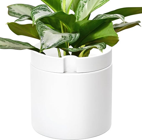 Phoenix Vine 10 Inch Cylinder Self Watering Planter, White Glazed Outer Plant Pot with Dolomite Clay Inner Planter for Indoor Plants, White, 31-A-I-W