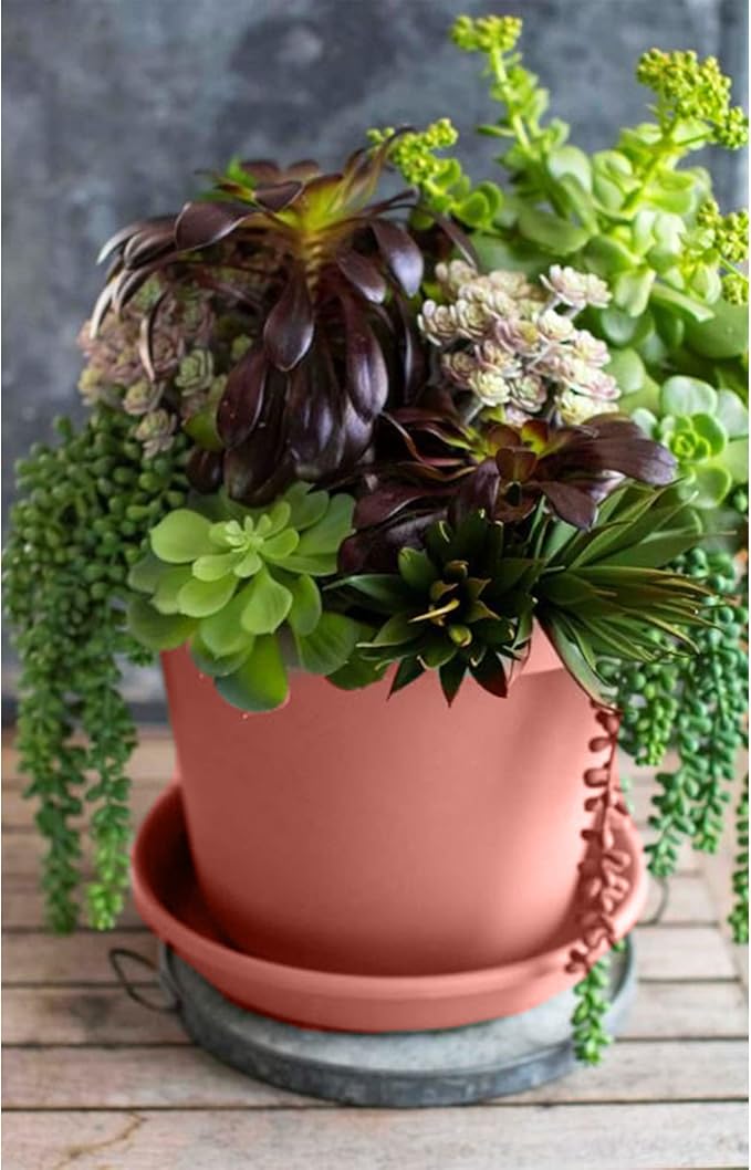 The HC Companies Classic Round Plastic Plant Pot w/Rolled Rim - Lightweight & UV Resistant Flower Pot for Herbs & More - Outdoor & Indoor Plant Pots w/Drainage (15.5 inch Clay, Pack of 1)