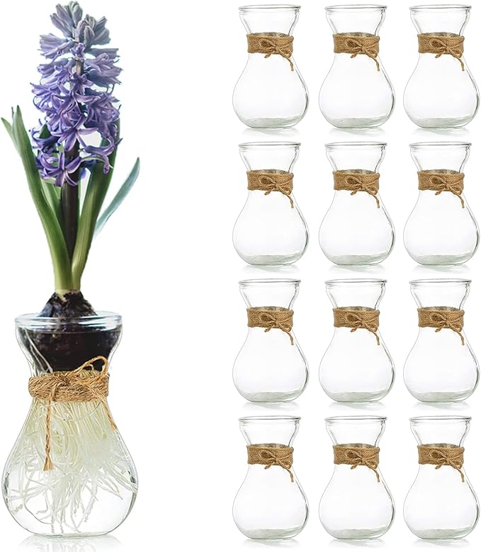 Small Glass Vases for Centerpieces - Hewory 12pcs Clear Mini Hyacinth Avocado Growing Bud Vase Bulk, Cute Tiny Flower Bulb Forcing Plant Containers Set for Wedding Home Living Room Table Decorations