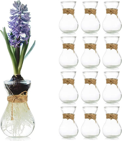 Small Glass Vases for Centerpieces - Hewory 12pcs Clear Mini Hyacinth Avocado Growing Bud Vase Bulk, Cute Tiny Flower Bulb Forcing Plant Containers Set for Wedding Home Living Room Table Decorations