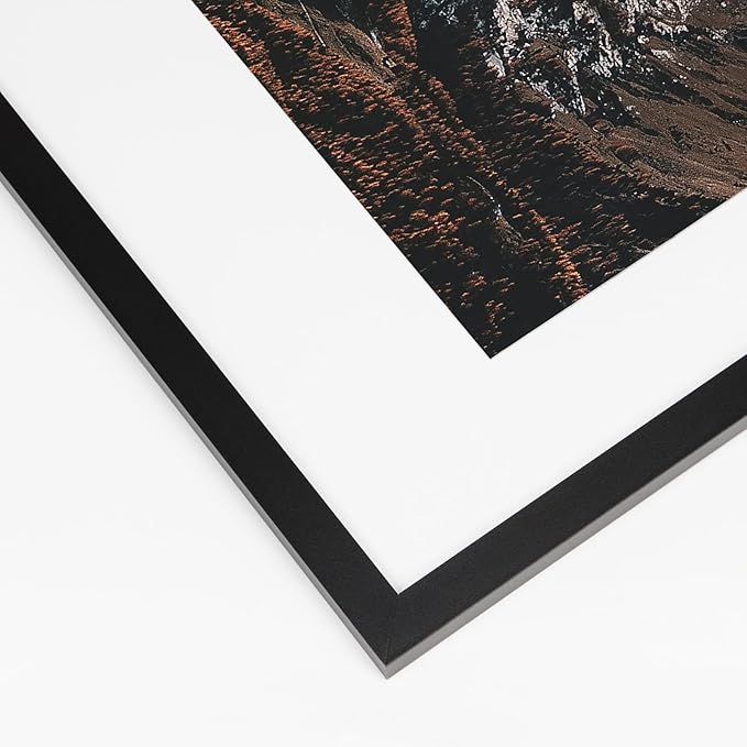 Giftgarden Black 24x36 Frames Matted to 20x30 Picture, Display 36x24 Inch Arts Without Mat, 20 x 30 Inch Prints with Mat, Set of 4
