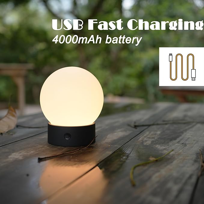 Small Cute Cordless Table Lamp Rechargeable, Battery Operated Shower Lamp Waterproof, Touch Dimmable Globe Ambient Light for Outdoor/Bedside/Patio/Dining (White)