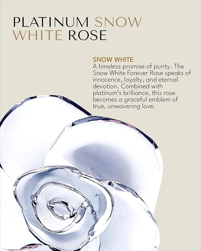 Forever Rose Real Snow White Rose with Platinum Trimmed Petals and Platinum Stem, Handcrafted Preserved Rose in Luxury Gold Gift Box, Romantic Gift for Her, Elegant Gift for Any Occasion
