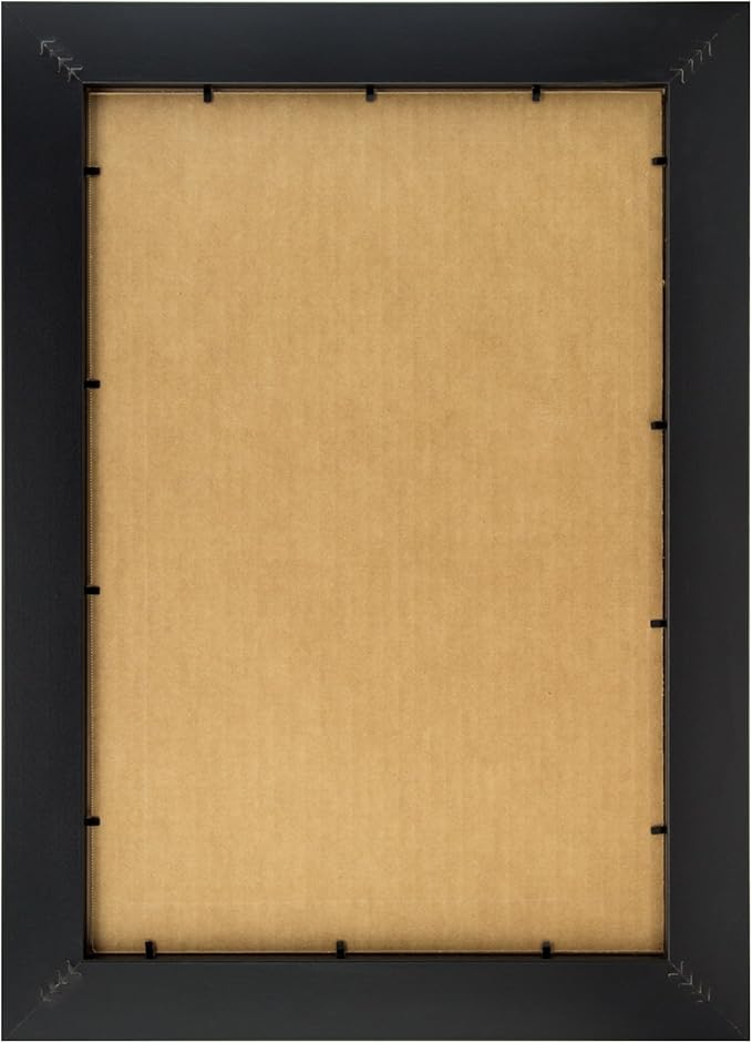 Craig Frames 21834700BK 17 x 22 Inch Picture Frame, Black, Set of 4
