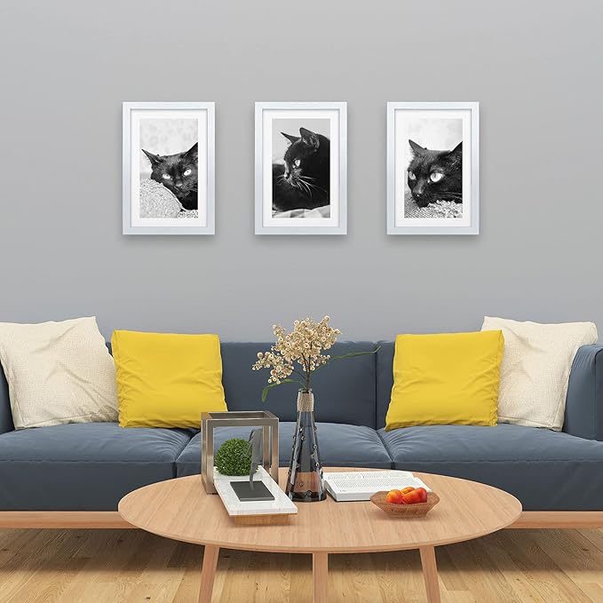 VCK Poster Frames 11x17 White Set of 5,Solid Wood Picture Frames for Wall Mounting Hanging Art and Puzzle Frame