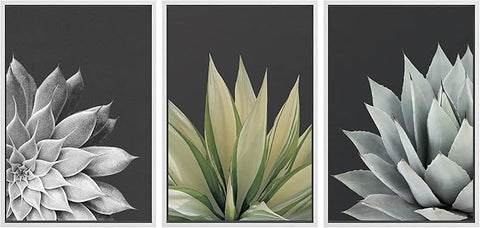 SIGNWIN Framed Canvas Print Wall Art Trio of Echevaria Succulents Floral Plants Photography Modern Art Minimalist Closeup Dramatic Black and White for Living Room, Bedroom, Office - 16"x24"x3 White