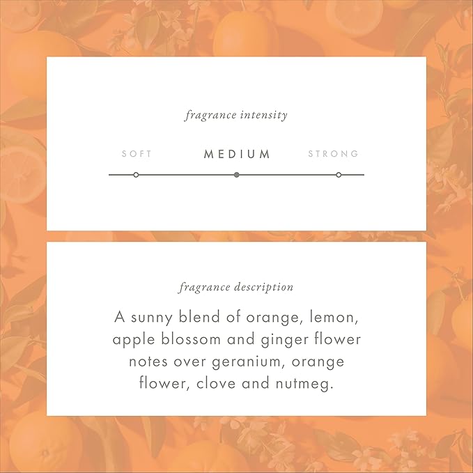 Monthly Fragrance Cartridge for Whisper Home - Tuscan Orange