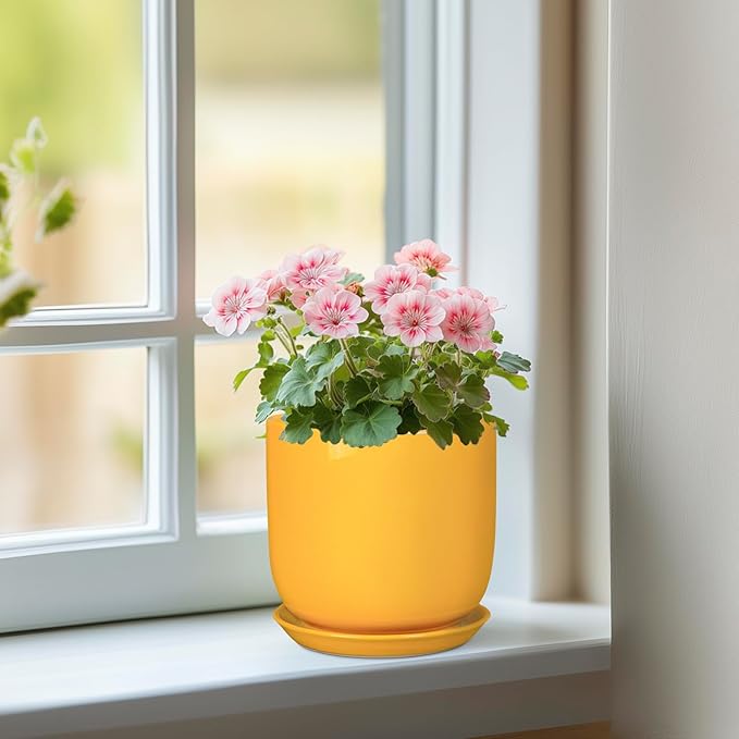 Plant Pot 5 Inch - Modern Round Indoor Ceramic Planter with Drainage Hole and Tray for Succulent Cactus Herbs Plants, Home House Garden Office Decor, Yellow