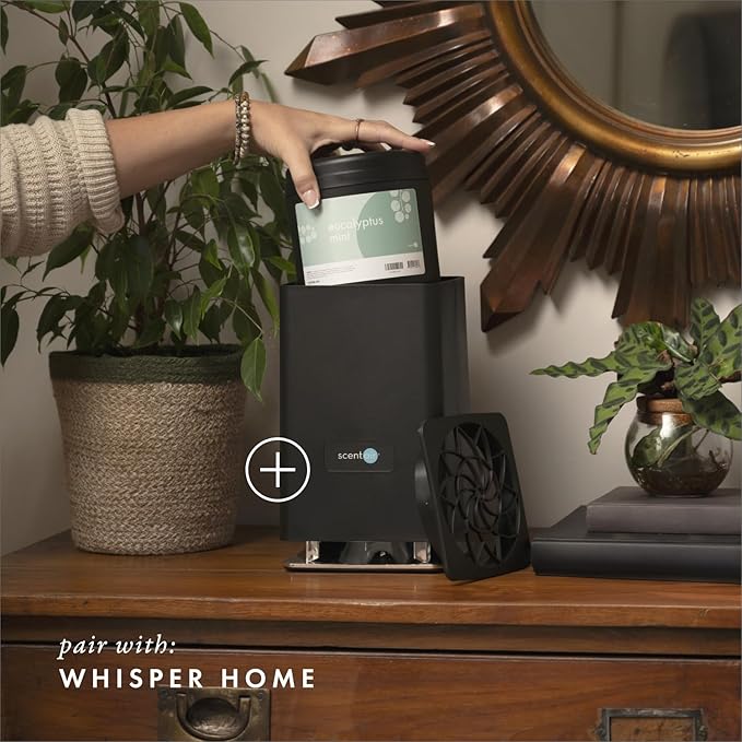 Monthly Fragrance Cartridge for Whisper Home - Eucalyptus Mint