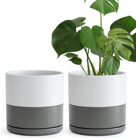 D'vine Dev Set of 2 Plants Pots, 8 Inch Ceramic Planter Pot for Plants with Drainage Hole and Saucer, White/Speckled Grey, 94-V-D-6