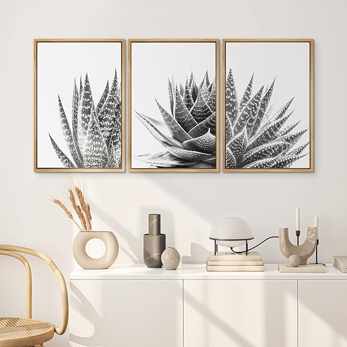SIGNWIN Framed Wall Art Print Set Trio of Zebra Succulents Floral Plants Photography Modern Art Minimalist Closeup Dramatic Black and White for Living Room, Bedroom, Office - 24"x36"x3 Natural