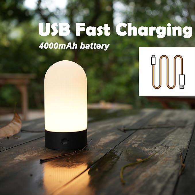 Battery Operated Shower Lamp Waterproof, Small Portable Cordless Table Lamp Rechargeable, Touch Dimmable Mood Light for Home/Patio/Dining/Outdoor (Black)