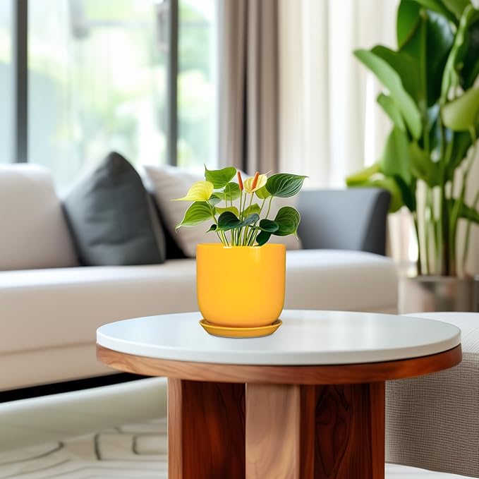 Plant Pot 5 Inch - Modern Round Indoor Ceramic Planter with Drainage Hole and Tray for Succulent Cactus Herbs Plants, Home House Garden Office Decor, Yellow