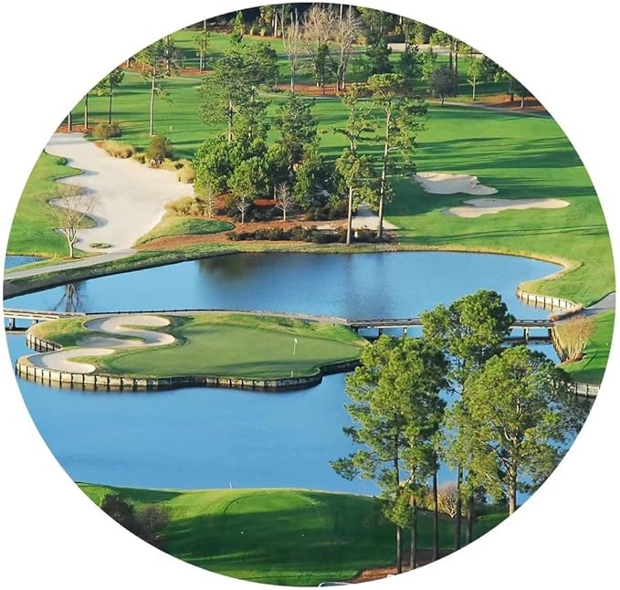 chenchenArt King's North Golf Course Wall Art for Living Room Bedroom Bathroom Home Decorations Myrtle Beach National Club Picture Canvas Prints Modern Artwork Framed Ready to Hang(12''H x 16''W)