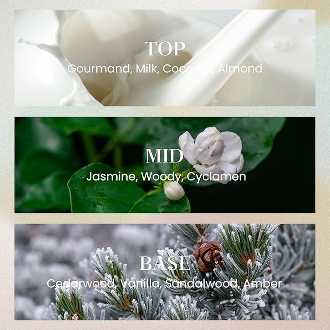 M&SENSE 6.7 oz Large Reed Diffuser Set | Cashmere Cloud Scent Oil Diffuser with Sticks | Hotel Collection Non-Toxic Essential Oil |for Bedroom Bathroom Living Room