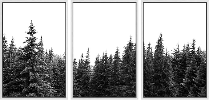 SIGNWIN 3 Piece Framed Canvas Wall Art Woodland Nursery Decor Black and White Forest Photo Nature Illustrations Abstract Traditional Home Artwork Decoration for Living Room,Bedroom - 16"x24"x3 White