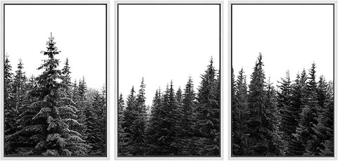 SIGNWIN 3 Piece Framed Canvas Wall Art Woodland Nursery Decor Black and White Forest Photo Nature Illustrations Abstract Traditional Home Artwork Decoration for Living Room,Bedroom - 16"x24"x3 White