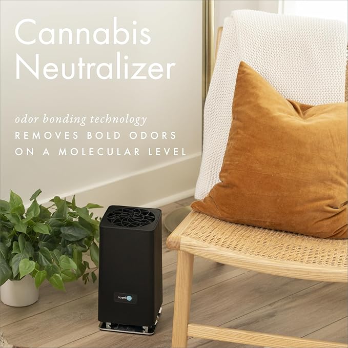 Monthly Fragrance Cartridge for Whisper Home - Cannabis Neutralizer