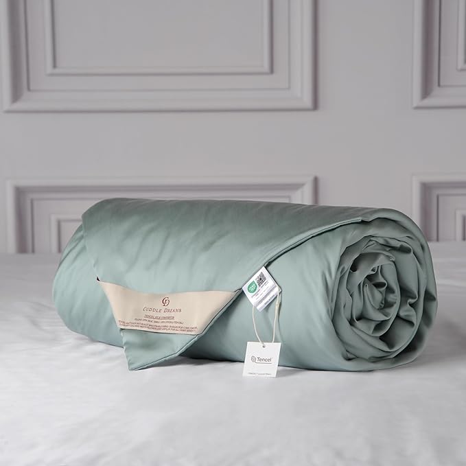 CUDDLE DREAMS Lightweight Silk Filled Comforter for Summer, Detachable Tencel Duvet Cover for Easy Care, Naturally Breathable (Celadon, Twin)