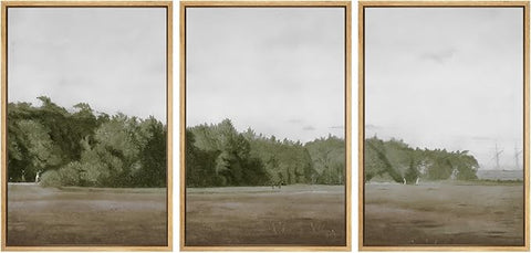 SIGNWIN Framed Canvas Print Wall Art Set Cloudy Sky Over Green Forest Clearing Nature Wilderness Illustrations Modern Art Landscape for Living Room, Bedroom, Office - 16"x24"x3 Natural