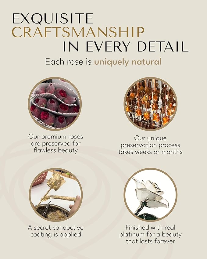 Forever Rose Real Snow White Rose with Platinum Trimmed Petals and Platinum Stem, Handcrafted Preserved Rose in Luxury Gold Gift Box, Romantic Gift for Her, Elegant Gift for Any Occasion
