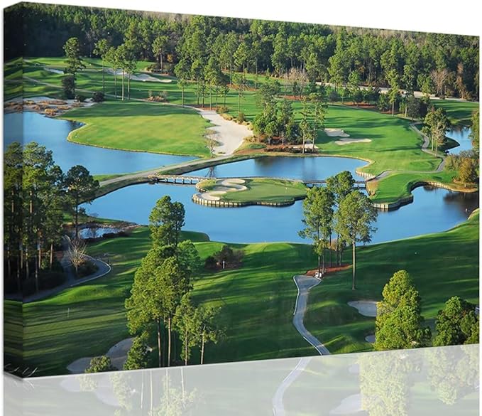 chenchenArt King's North Golf Course Wall Art for Living Room Bedroom Bathroom Home Decorations Myrtle Beach National Club Picture Canvas Prints Modern Artwork Framed Ready to Hang(12''H x 16''W)