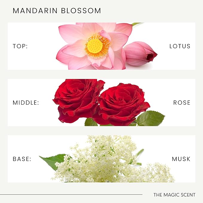 Mandarin Blossom Diffuser Oil - Hotel & Home Luxury Scents Inspired by St. Regis Hotel, Maldives - Diffuser Oil Scents for Home Designed for Use in All Diffusers - 4 fl oz, 120 mL