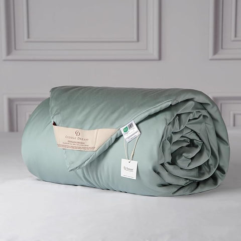 CUDDLE DREAMS Silk Filled Comforter for All Season, Detachable Tencel Duvet Cover for Easy Care, Naturally Breathable (Celadon, Twin)