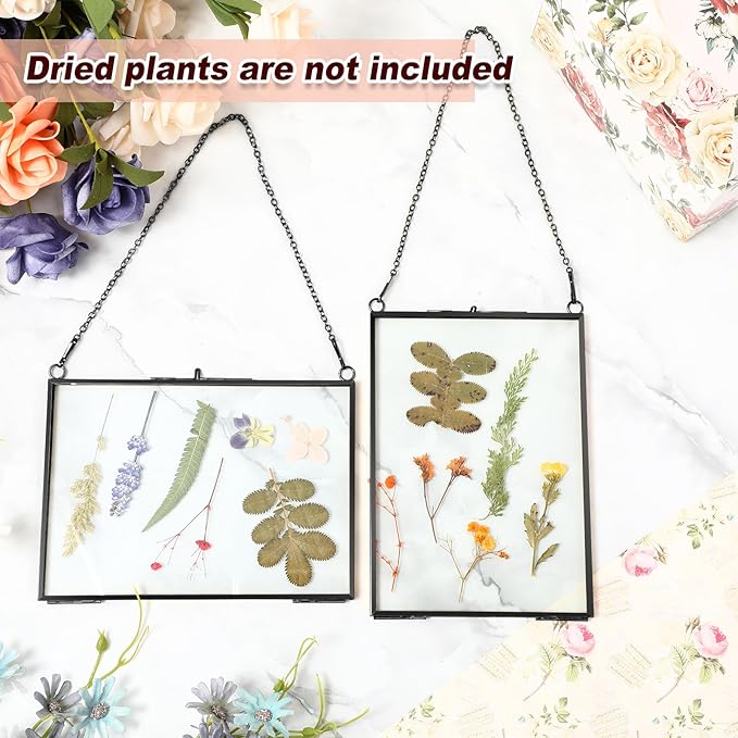 Barydat 12 Pack Pressed Flowers Glass Frames, 5 x 7 Inch Brass Hanging Floating Frame with Chain, Double Glass Photo Display for Dried Flowers, Plant Specimen, Artwork Display (Black)