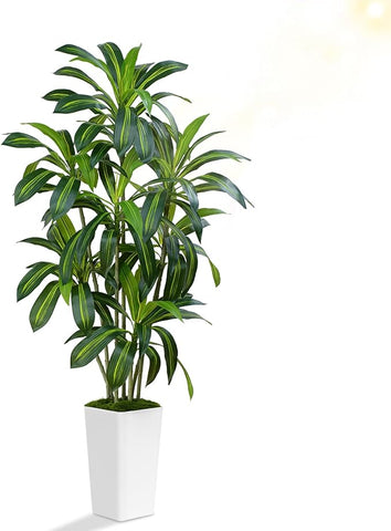 Dracaena Plant Artificial Tree 6Ft Tall Fake Tropical Floor Plants Potted (Real Touch) Artificial Silk Tree Leaf Faux Trees White Tall Planter for Home Office Living Room Indoor Outdoor Decor