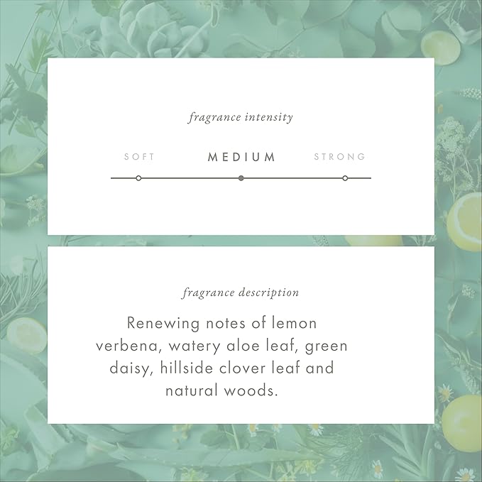 Monthly Fragrance Cartridge for Whisper Home - Green Clover & Aloe