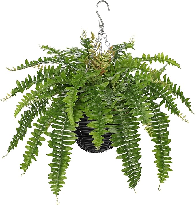 Hollyone Artificial Fern Hanging Basket Plant 25" Boston Ferns 31 Leaves Greenery Plants with Rattan Pot for Outdoors & Indoor Fake Fern Bush Plant in Pot for Patio Entrance Porch Garden Decor Green