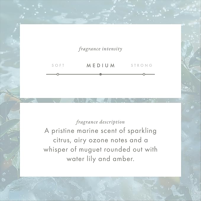 Monthly Fragrance Cartridge for Whisper Home - Ocean