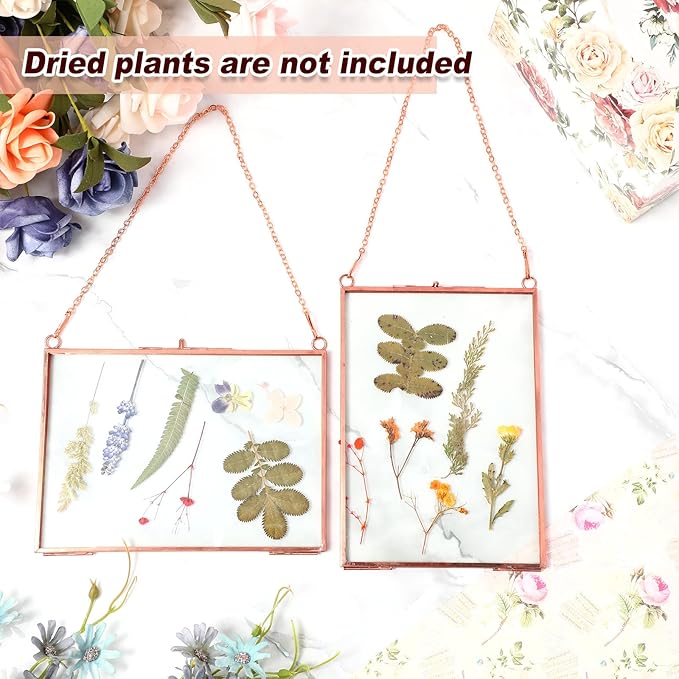 Barydat 12 Pack Pressed Flowers Glass Frames, 5 x 7 Inch Brass Hanging Floating Frame with Chain, Double Glass Photo Display for Dried Flowers, Plant Specimen, Artwork Display (Rose Gold)